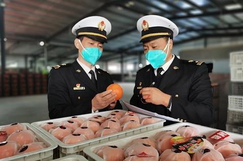 | Hunan citrus fruits were exported to Laos for the first time, and the export volume increased by 6 percent over the same period last year.9%